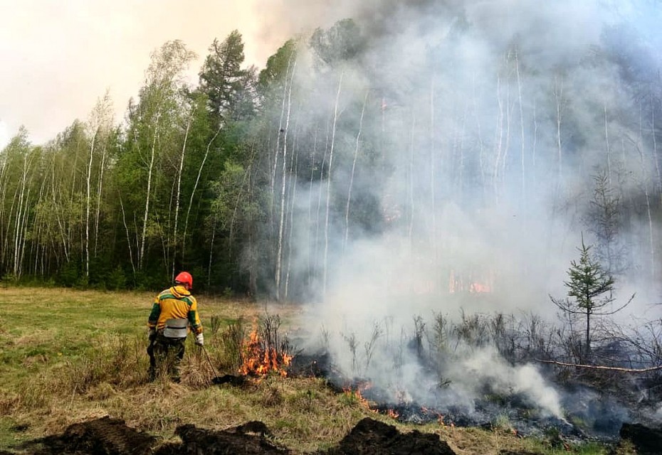 38 лесных пожаров  тушат в Якутии, ликвидировано - 9