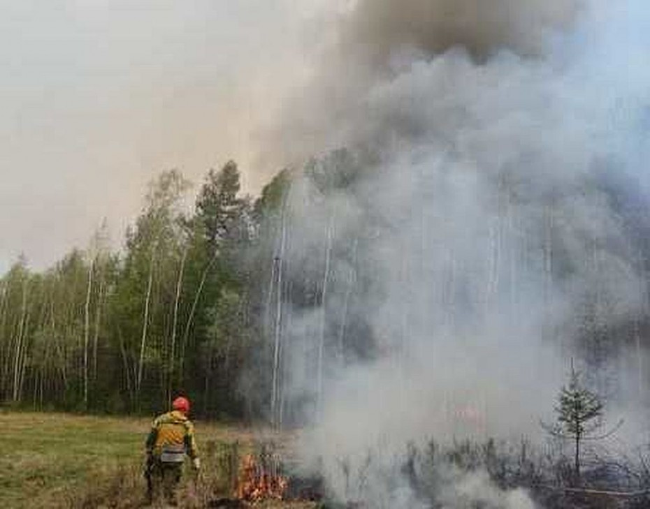 Минэкологии Якутии: За ночь интенсивность лесных пожаров возле села Тюбяй спала
