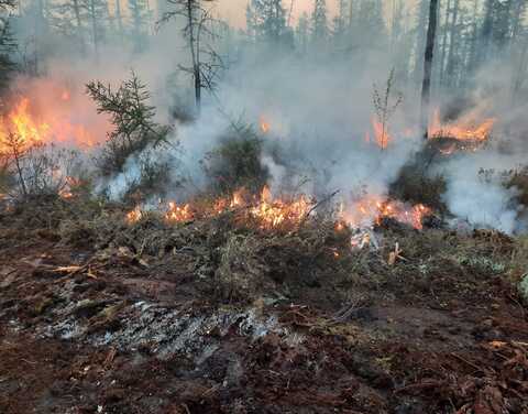 В пригороде Якутска локализовано два природных пожара