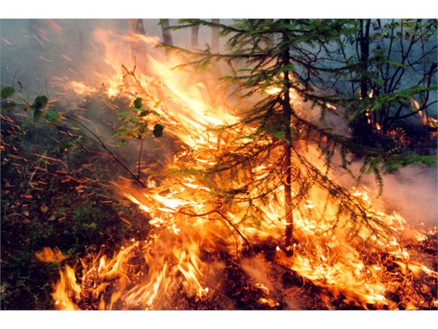 Лесной пожар находится в 250 метрах от поселка Хандыга