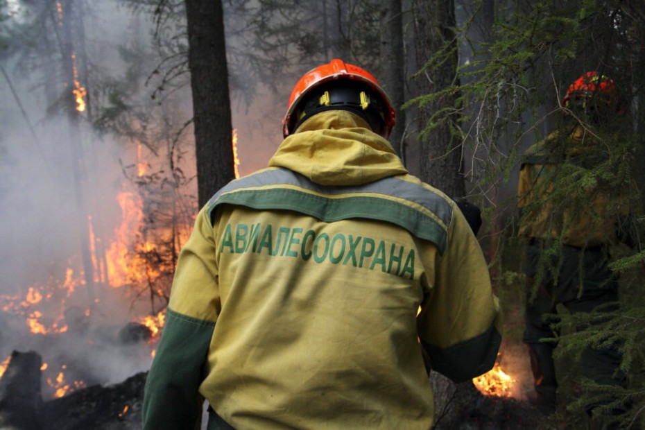 Более 500 парашютистов-десантников Авиалесоохраны помогают тушить пожары в Якутии