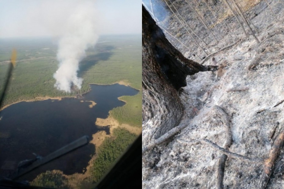 В Верхневилюйском районе Якутии установлен виновный в возникновении лесного пожара