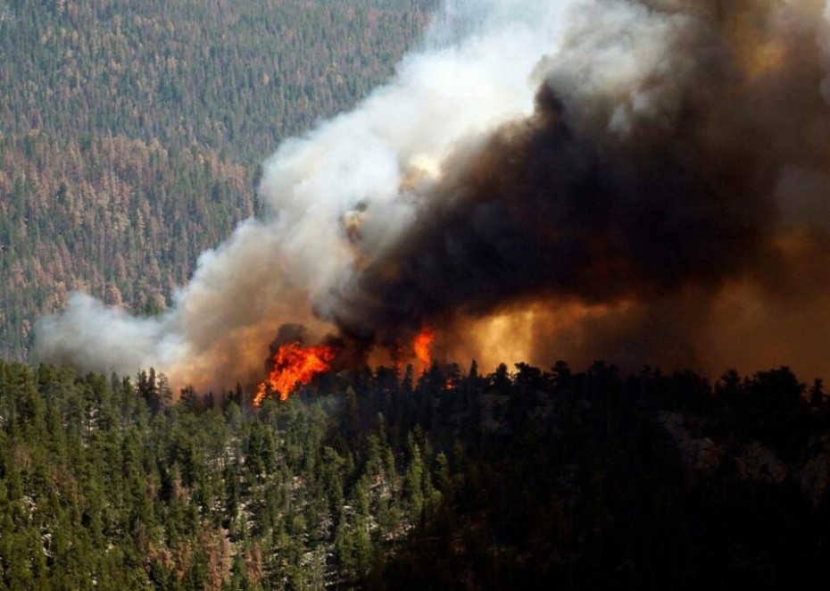 Дмитрий Садовников призвал районы мобилизовать все силы для борьбы с лесными пожарами