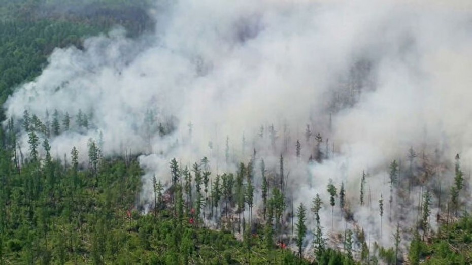На территории Якутии бушуют 16 лесных пожаров. В Нюрбе ввели режим ЧС