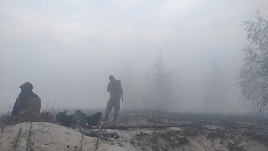314 лесных пожаров действуют на территории Якутии