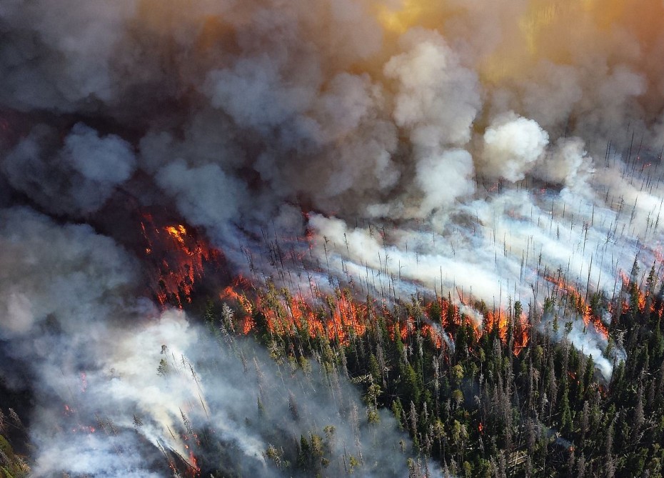 Минэкологии Якутии ответило на обвинение федерального министра в занижении площадей лесных пожаров