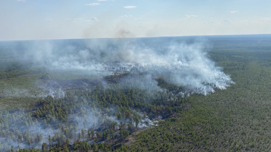 В Якутии тушат 18 лесных пожаров, ликвидировано - 4