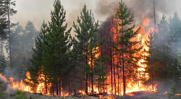 В Якутии введён режим чрезвычайной ситуации из-за лесных пожаров