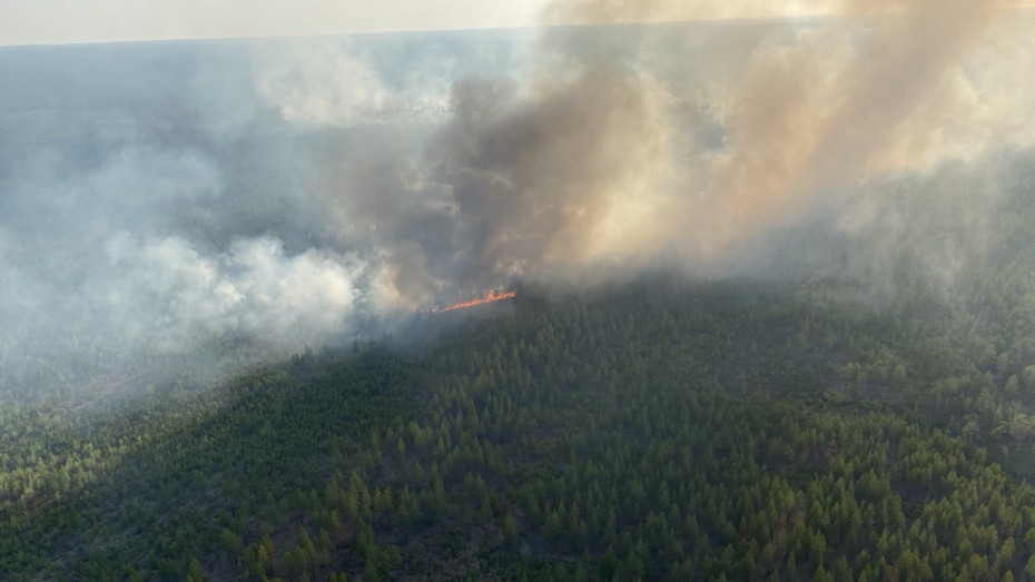 22 лесных пожара тушат в Якутии