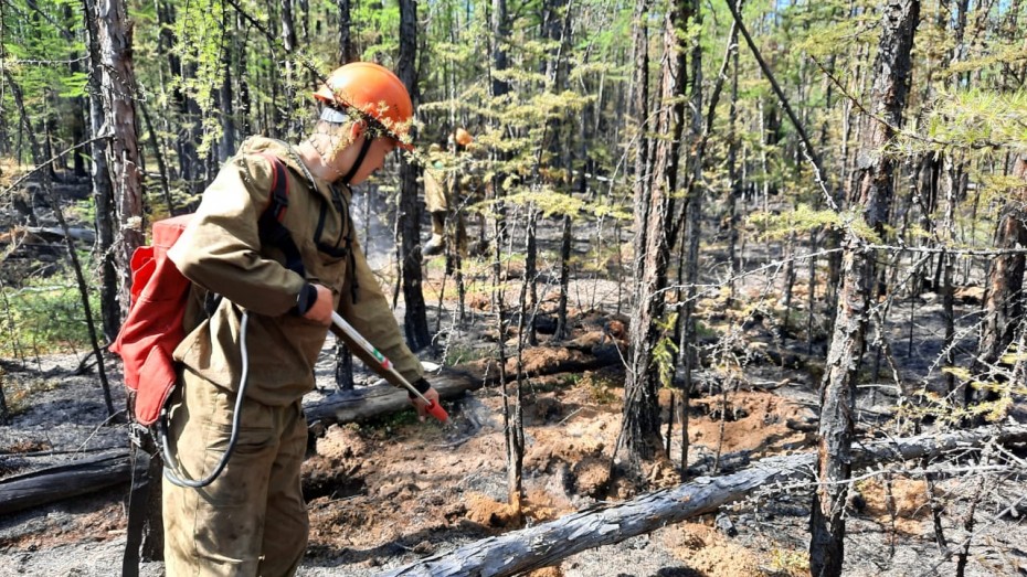 10 лесных пожаров тушат в Якутии, ликвидировано - 3