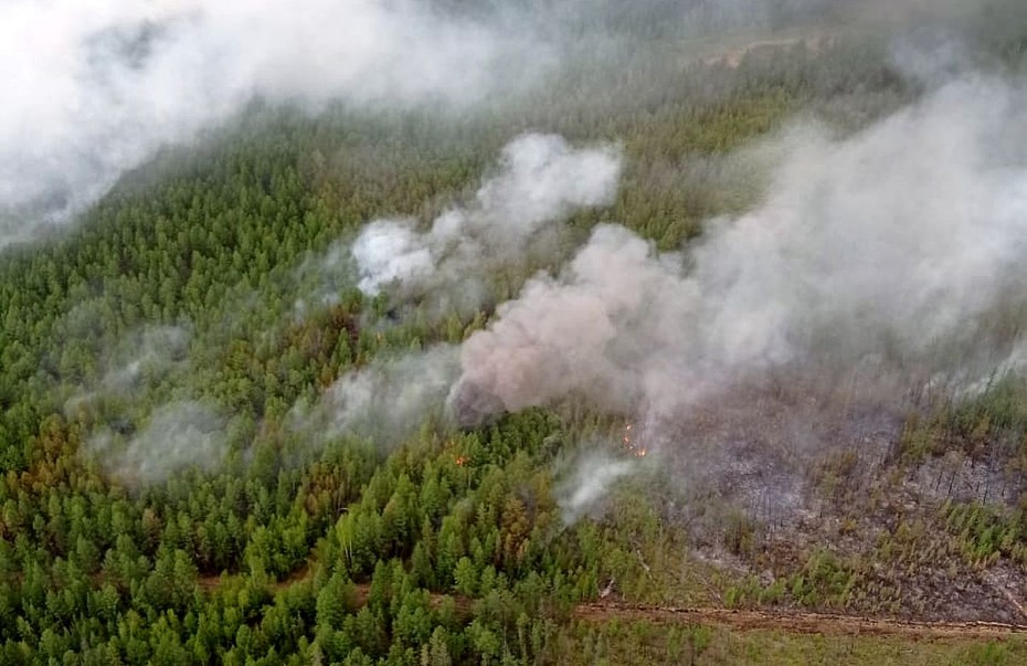 9 лесных пожаров тушат в Якутии, ликвидировано - 4