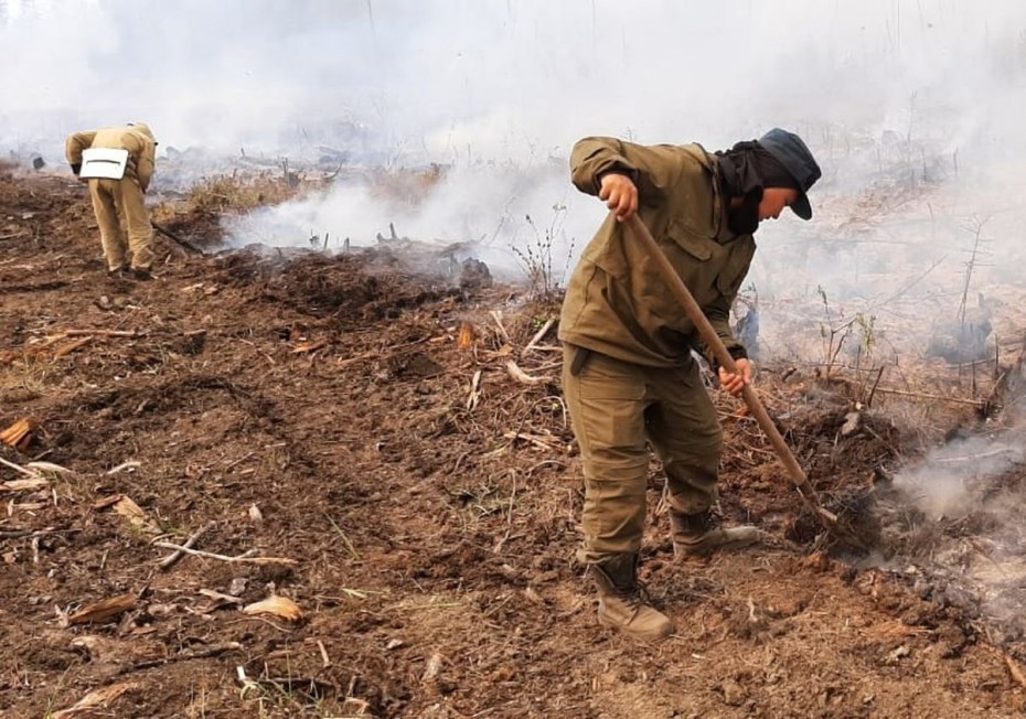 22 природных пожара действуют в Якутии по состоянию на 12 июня