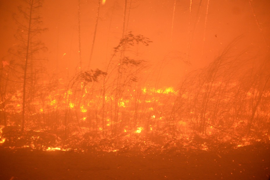 Лесной пожар в Томпонском улусе: Фотографии