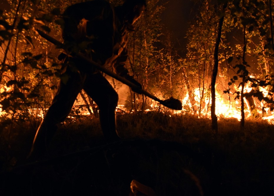 Дмитрий Садовников: За последние сутки на территории Якутии ликвидировано 18 лесных пожаров