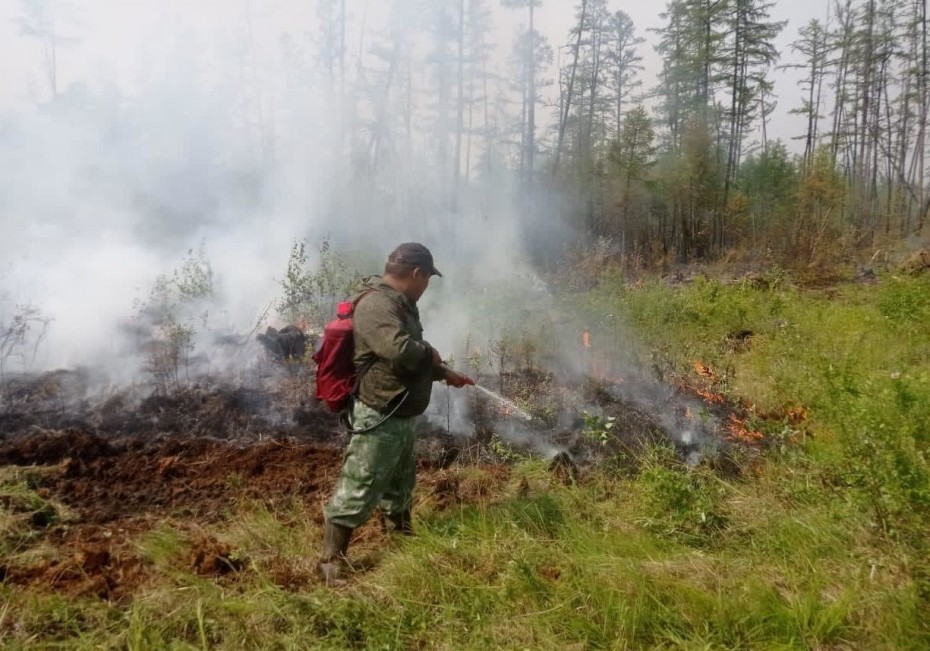271 лесной пожар действует в Якутии