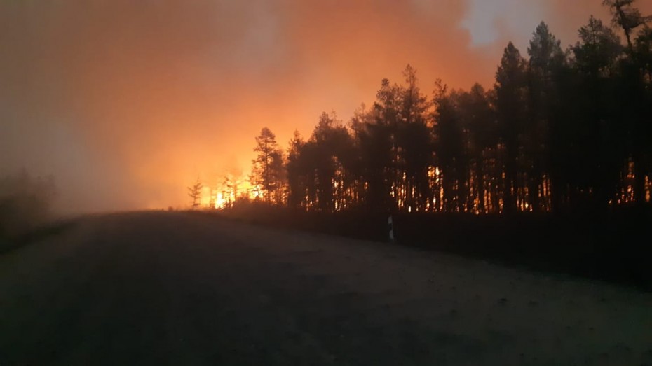 В Таттинском улусе природным пожаром повреждены ЛЭП