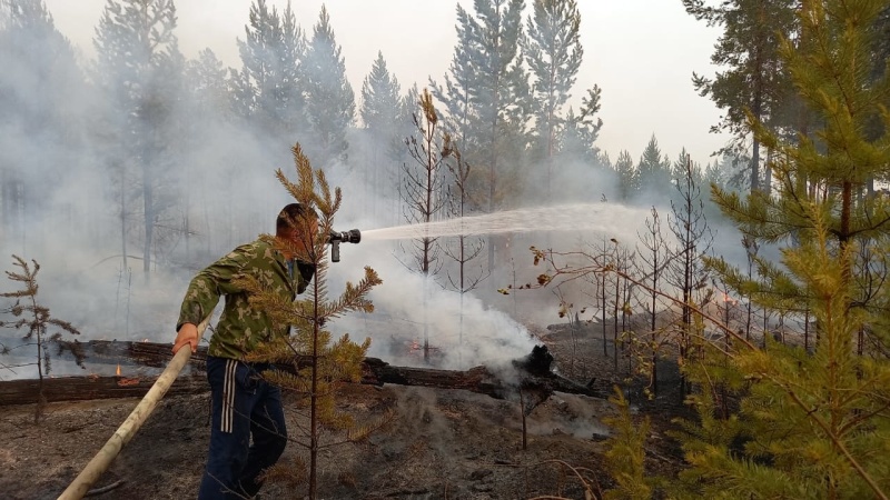 300 лесных пожаров действуют в Якутии