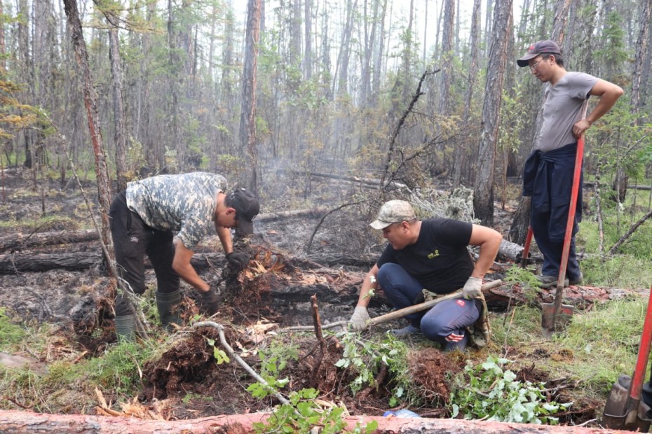 216 лесных пожаров действуют в Якутии