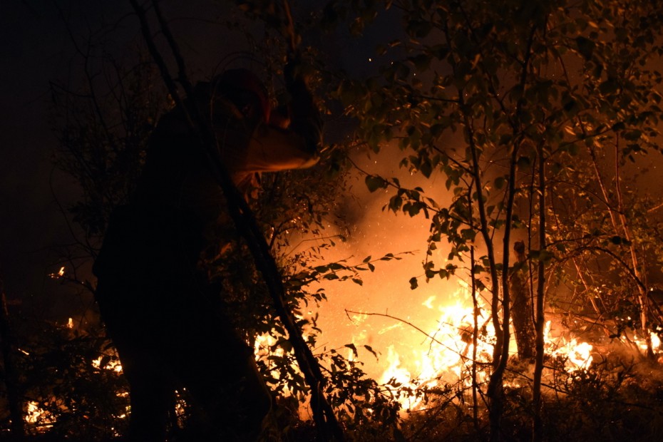 За сутки количество пожаров в Якутии выросло на 8 очагов