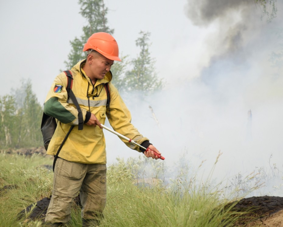 316 лесных пожаров действуют в Якутии
