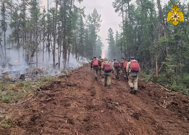 205 лесных пожаров действуют в Якутии