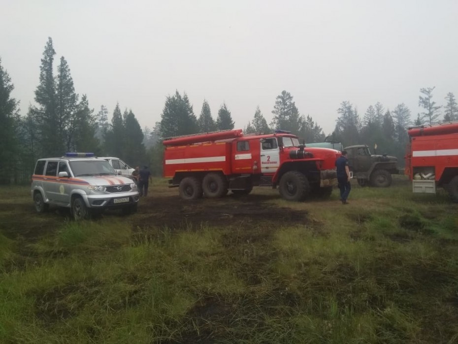 325 лесных пожаров действуют в Якутии