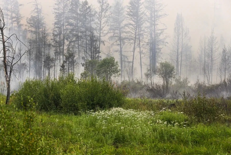Лесной пожар около села Магарас Горного улуса Якутии локализован