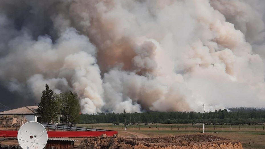 Фотофакт:   Лесной пожар у села Бярийе Усть-Алданского района