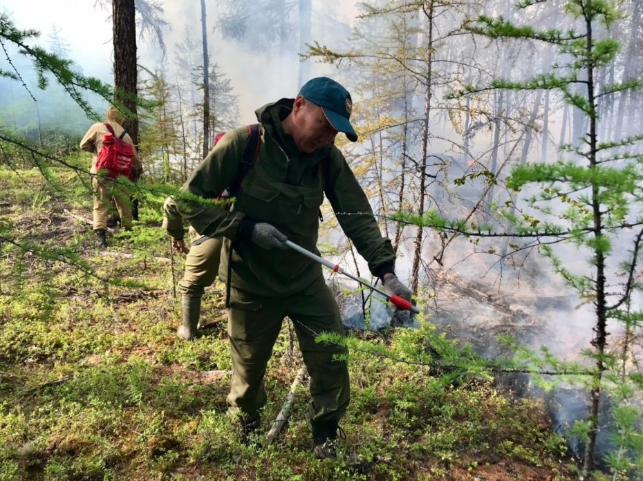 147 лесных пожаров действуют в Якутии