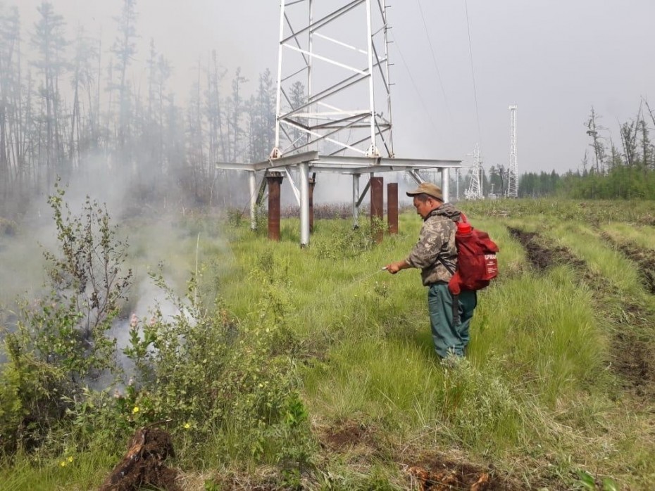 279 лесных пожаров действуют в Якутии