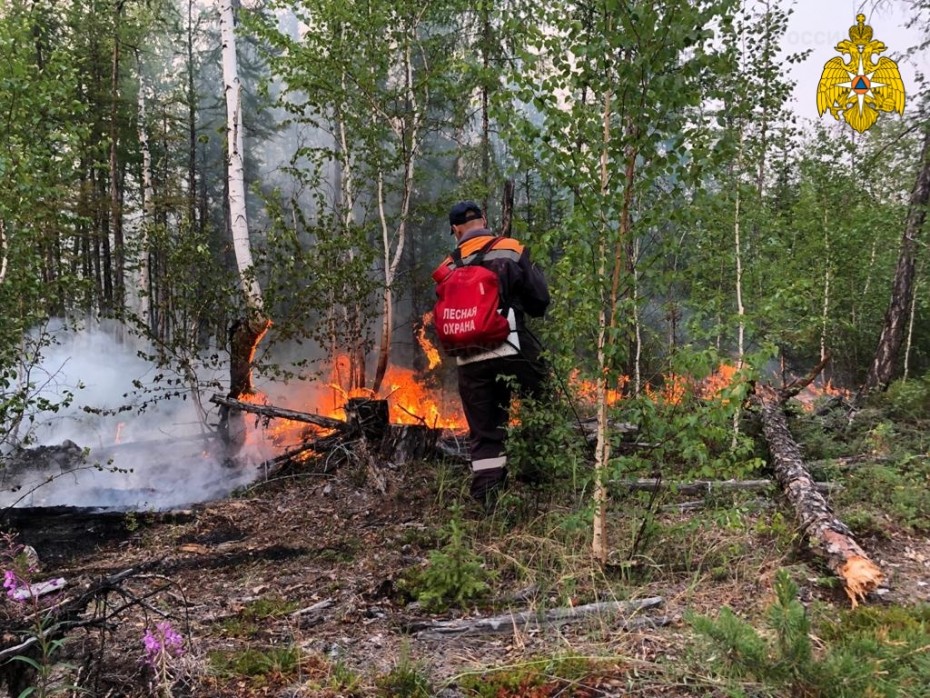 126 лесных пожаров действует в Якутии