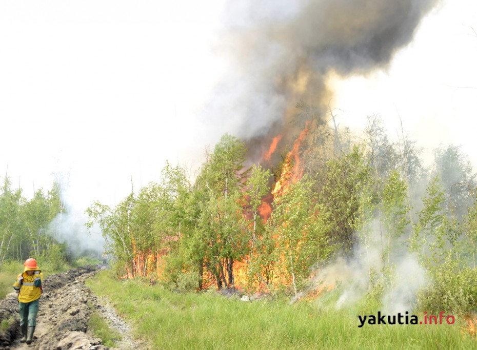 В Якутии продолжают бушевать лесные пожары