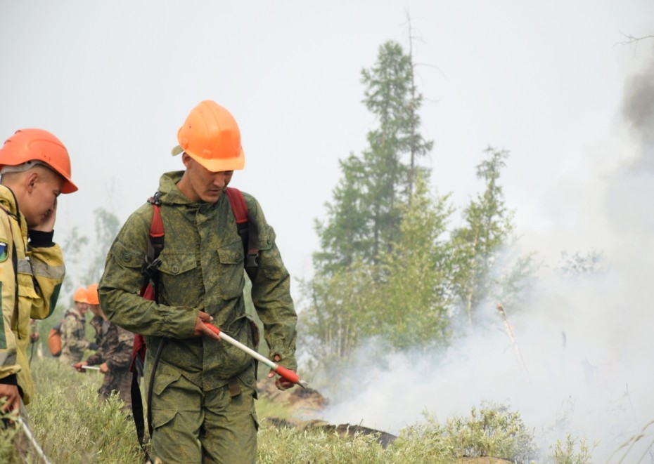 135 лесных пожаров действуют в Якутии
