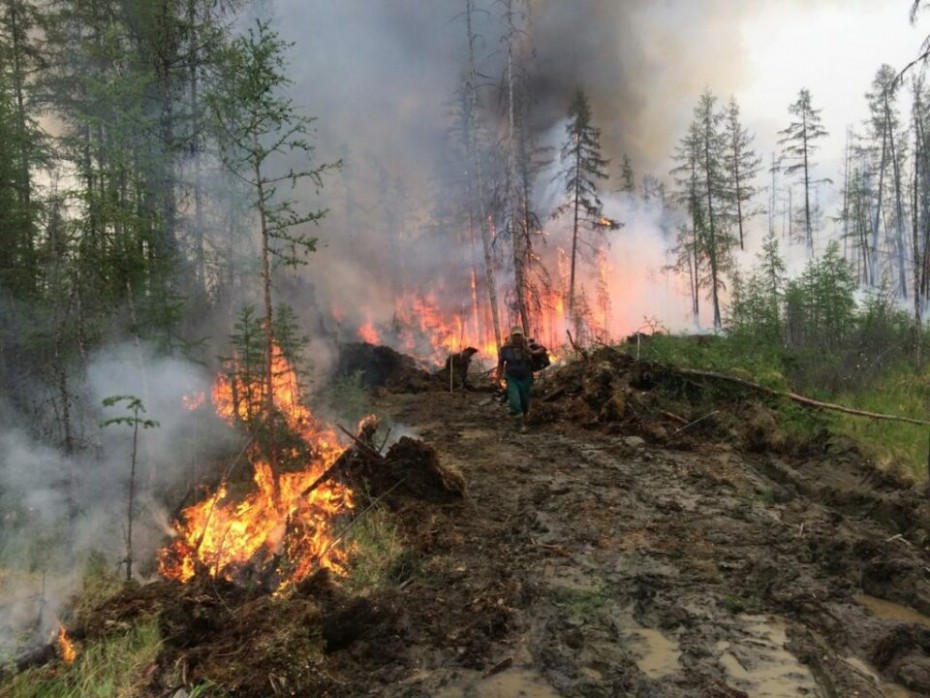 282 лесных пожара действуют в Якутии