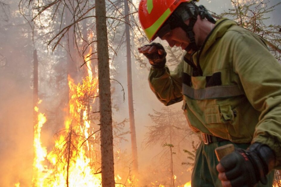 163 лесных пожара действуют в Якутии  по состоянию на 1 августа