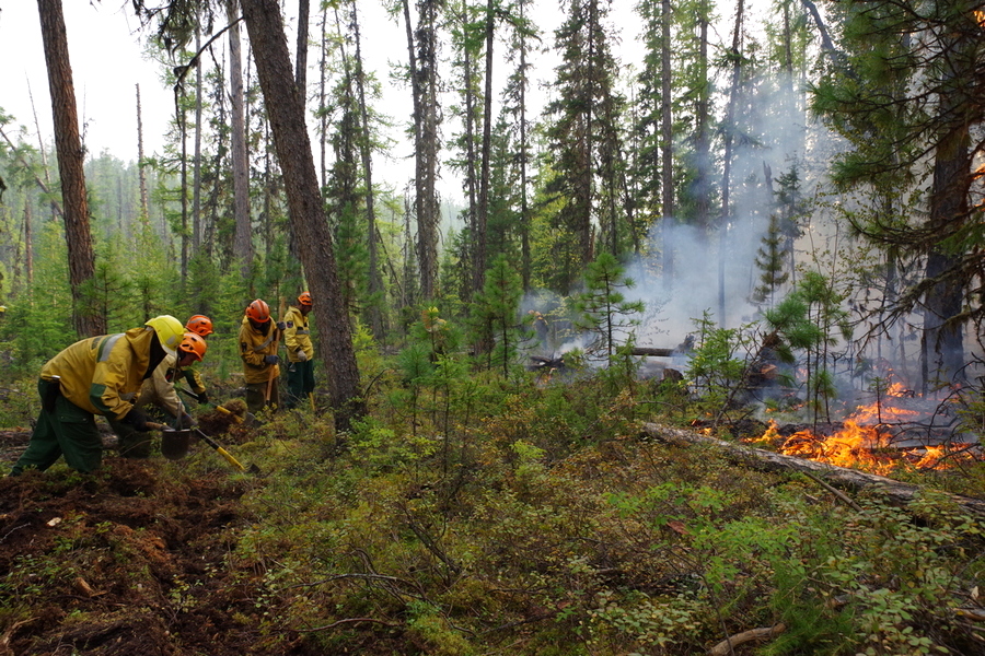 305 лесных пожаров действует в Якутии