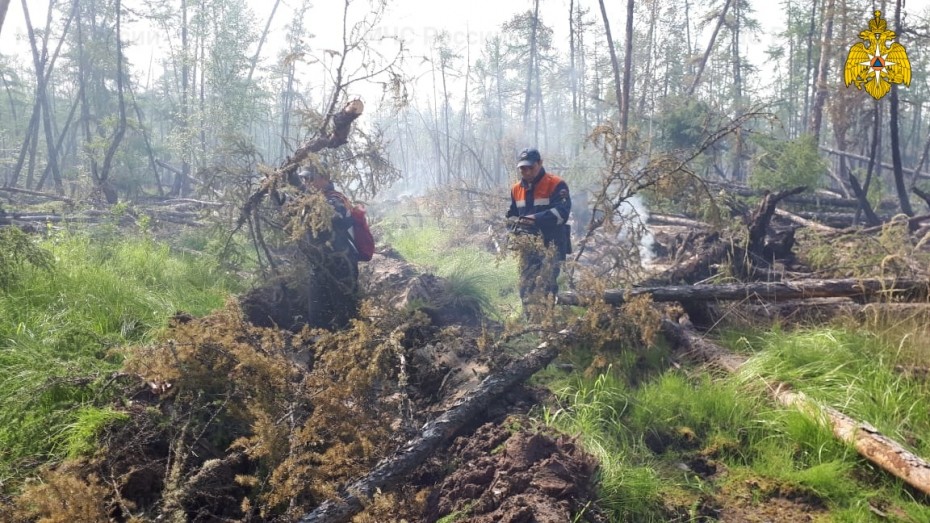 215 лесных пожаров действуют в Якутии
