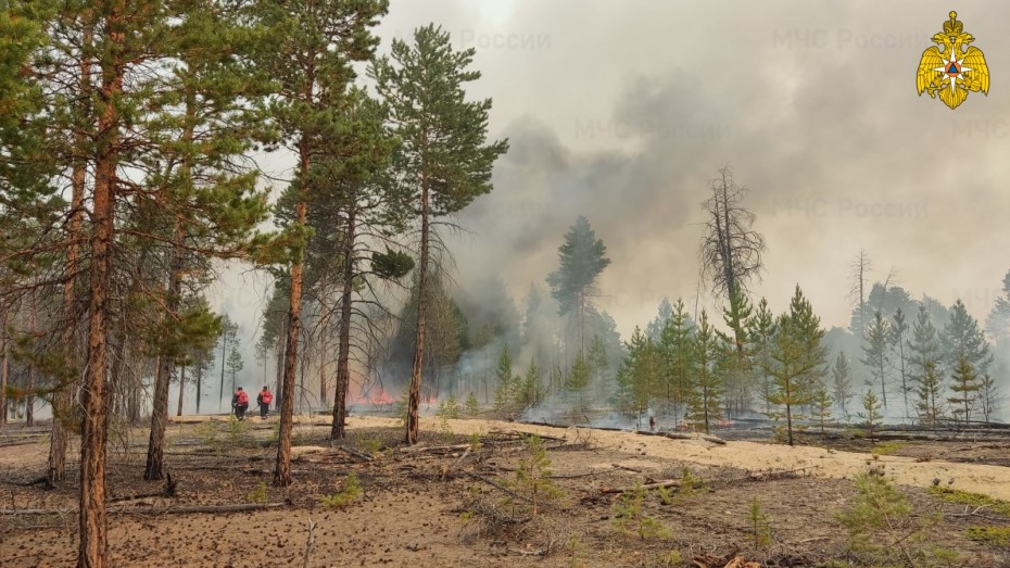 190 лесных пожаров действует в Якутии