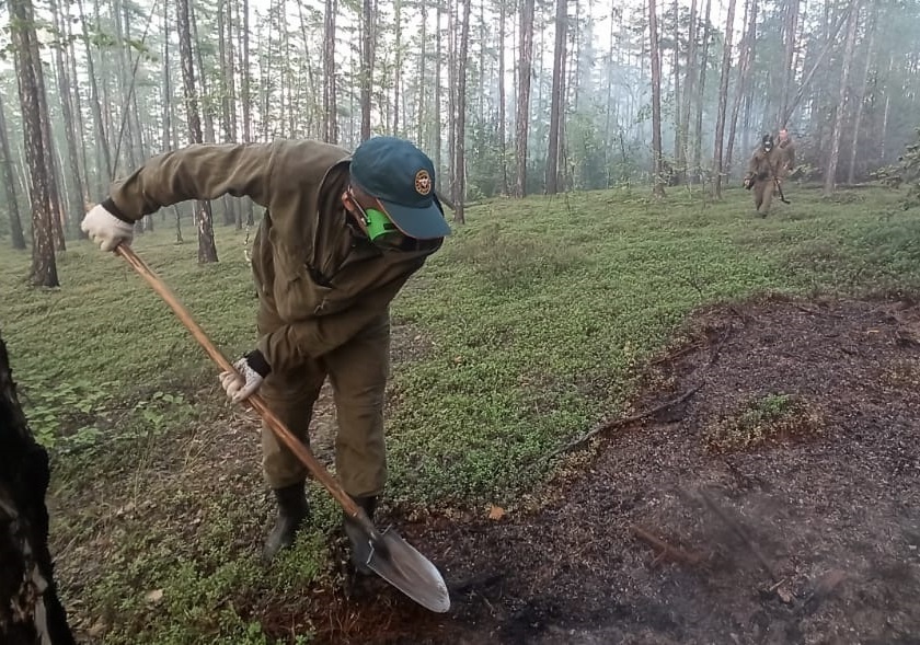 По данным авиалесоохраны в Якутии действуют 35 лесных пожаров