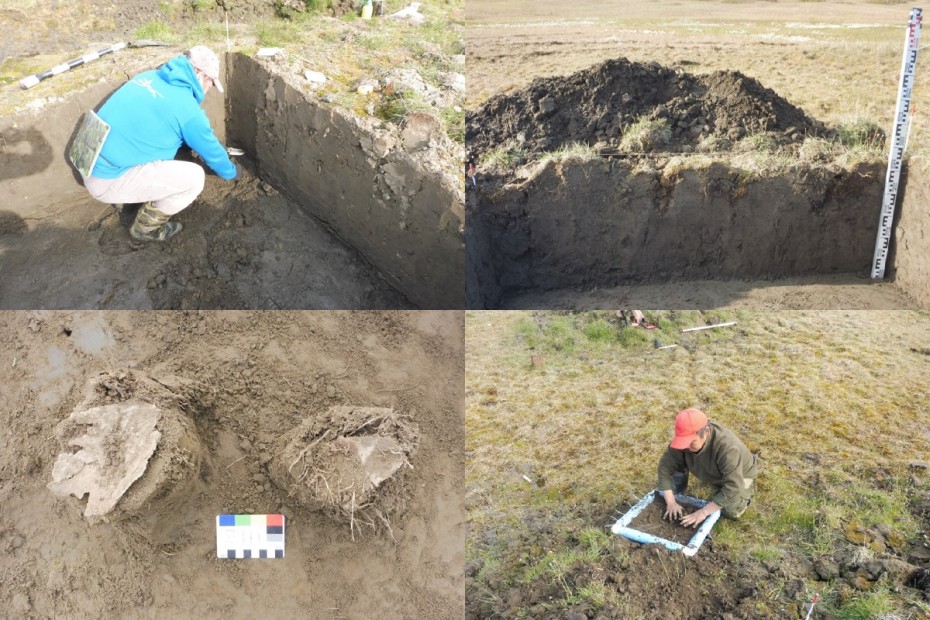 Здесь были люди, и они съели мамонта: Находка на острове Котельный – самая древняя из обнаруженных в Арктике