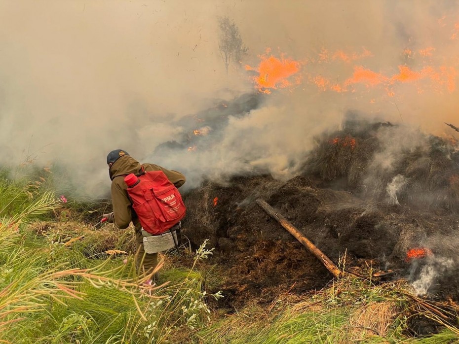 172 лесных пожара действуют в Якутии по данным авиалесоохраны