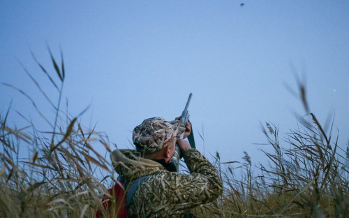 В России могут изменить правила охоты для коренных народов