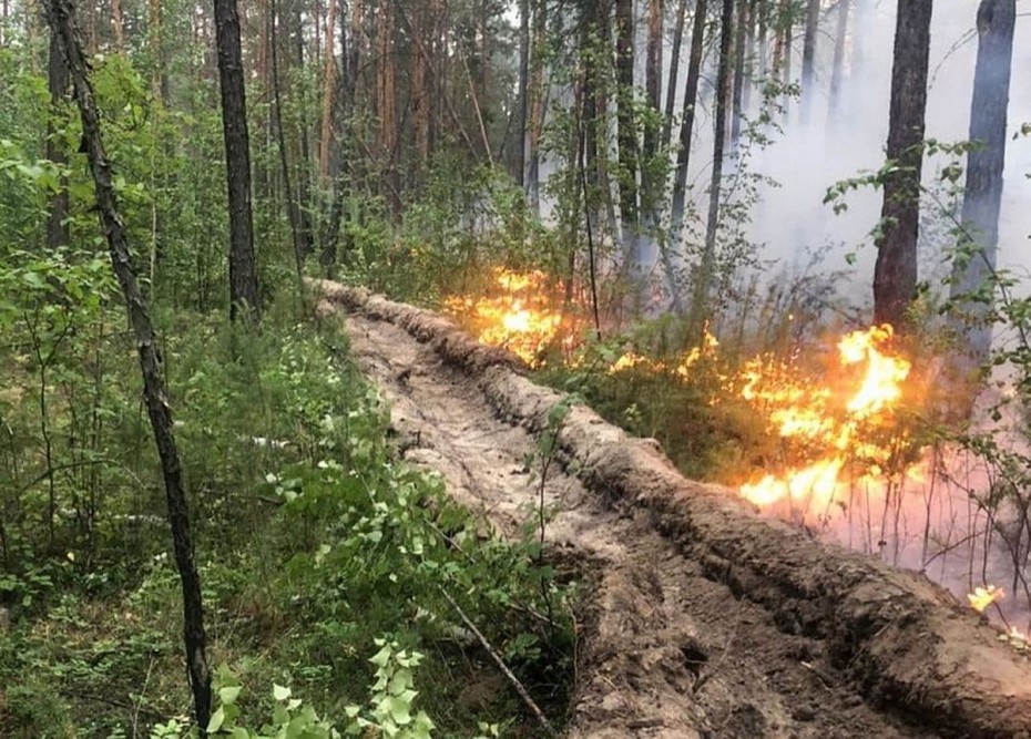 На правой стороне Вилюйского тракта в Якутске обнаружен лесной пожар