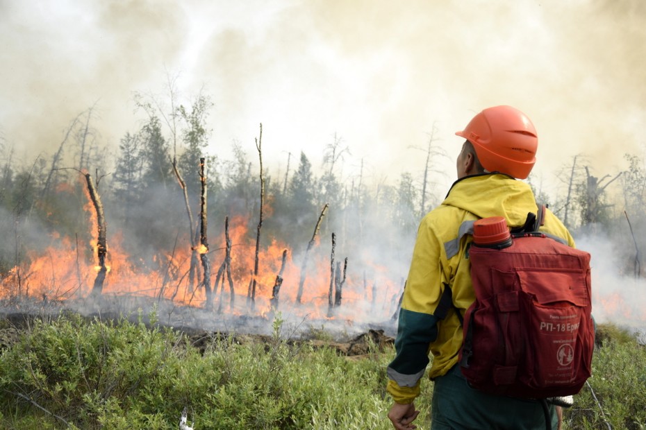 Рослесхоз заявил о необходимости увеличить лесопожарные формирования – Якутская Авиалесоохрана заявляла об этом ранее