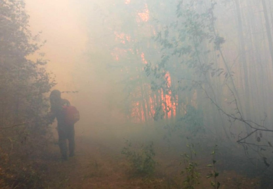 В парламенте Якутии обсудили вопросы усовершенствования законодательства, направленного на борьбу с лесными пожарами