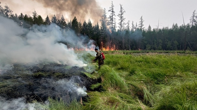 171 лесной пожар действует в Якутии