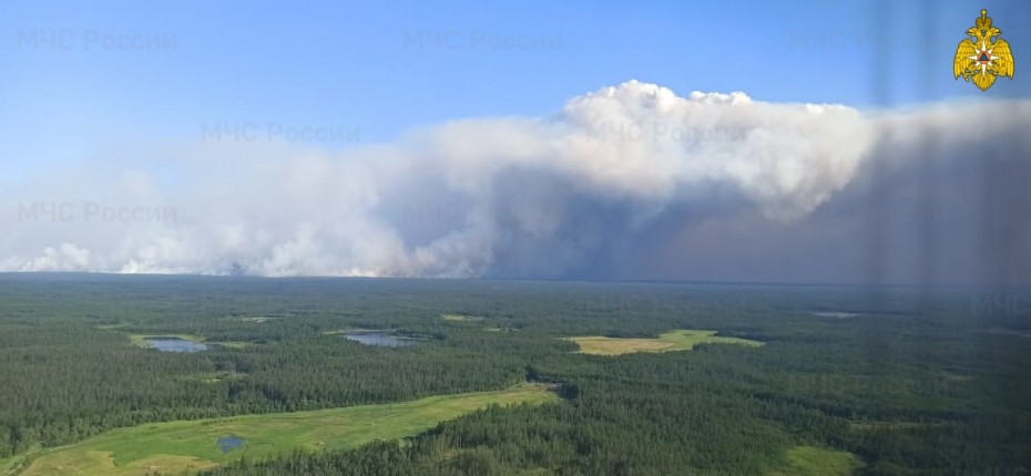 По данным авиалесоохраны 178 лесных пожаров действуют в Якутии