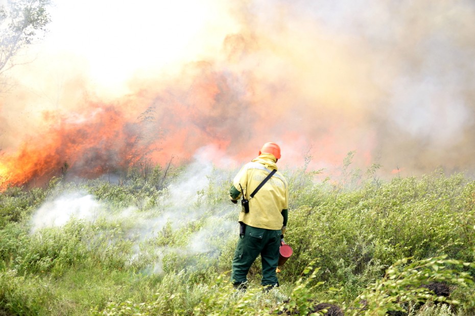 Уголовные дела по 25 случаям лесных пожаров завели в Якутии