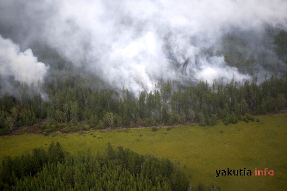 Дым от лесных пожаров в Якутии достиг Хакасии