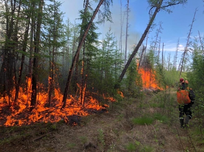 159 лесных пожаров действуют в Якутии